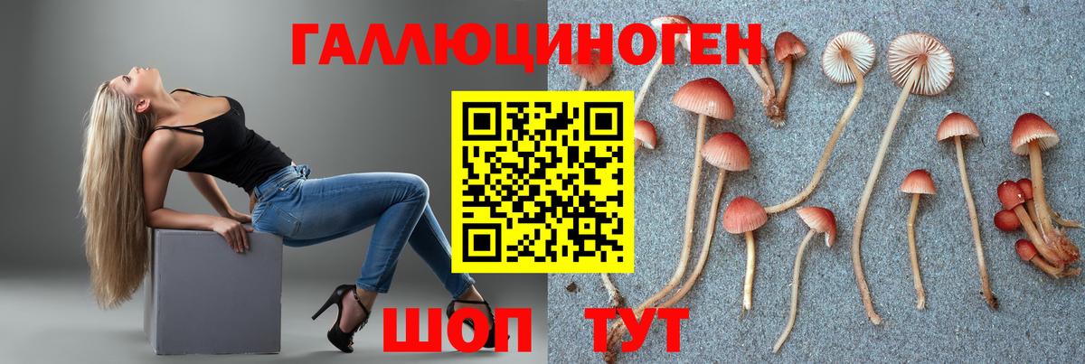 Галлюциногенные грибы ЛСД  дарнет шоп  Ревда  Вход с VPN 
