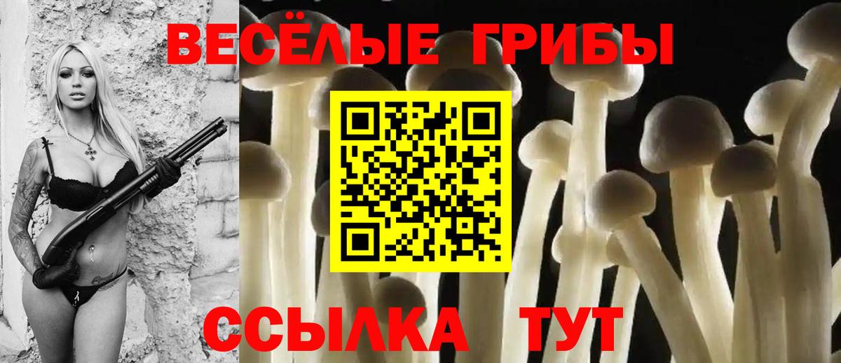 Псилоцибиновые грибы GOLDEN TEACHER Ревда