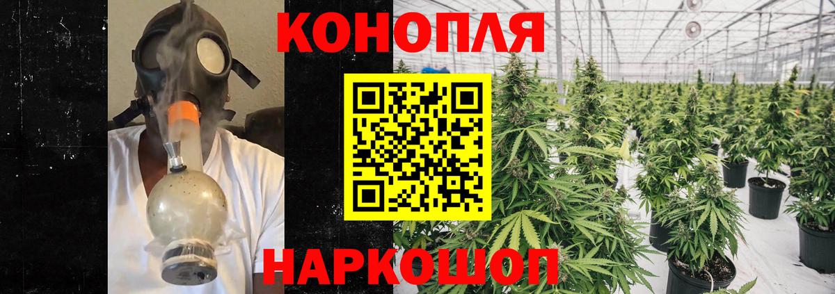Бошки Шишки SATIVA & INDICA Ревда
